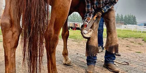 Hoof grooming and horse health clinic - Chilliwack BC - August 6-9, 2026