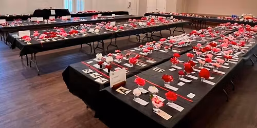 79th Annual Camellia Show - Mead Botanical Garden