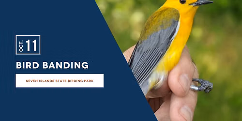 Bird Banding