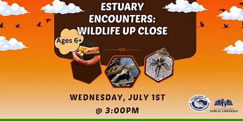 Estuary Encounters: Wildlife Up Close