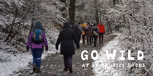 Go Wild at St Maurice's Pond