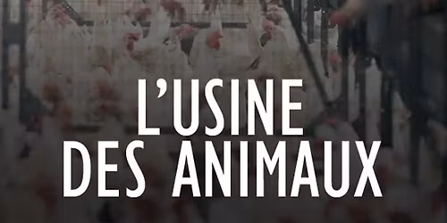 Cin\u00e9-D\u00e9bat : L'usine des animaux