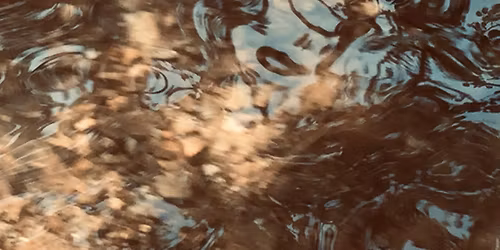 Autumn Continuum: moving inquiry sessions