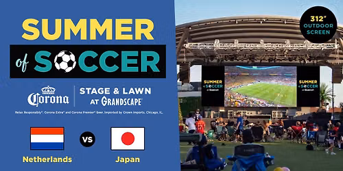 Summer of Soccer: Netherlands vs. Japan
