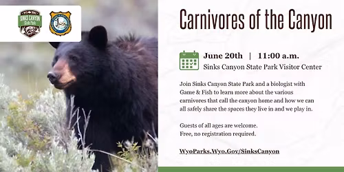 Carnivores of the Canyon