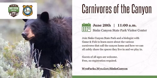 Carnivores of the Canyon