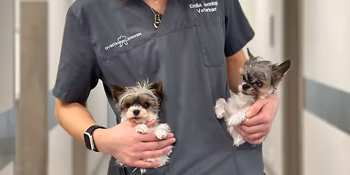 N\u00e5r tenner teller \u2013 det du som eier b\u00f8r vite!