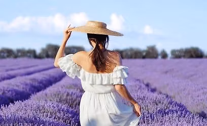 Lavender full day photoshoot