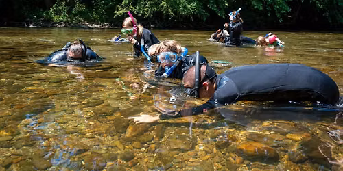 Estuary Snorkel Adventure