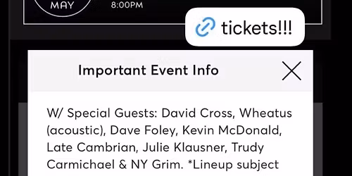 Pineapplefest: A Variety Benefit Show for Olive Hui at The Bell House