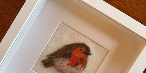Sat Nov 29th Needle Felt a Robin Picture €45