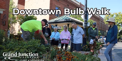 Downtown Bulb Walk