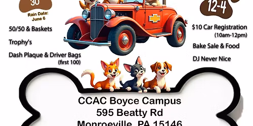 Car Show for tiny cause