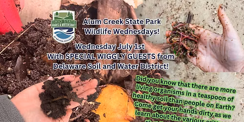 Alum Creek State Park- Wildlife Wednesday- Wiggling Worms