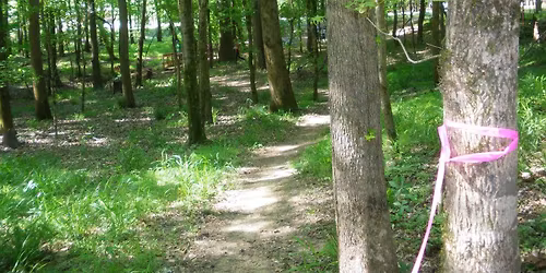 Orienteering (Map\/Compass) at Lake Louisa State Park