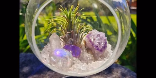Crystal Terrarium Workshop