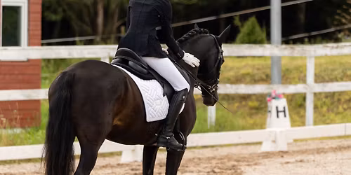 PARIISI TALLI KOOLI- JA TAKISTUSS\u00d5IT & VIRUMAA KARIKASARI I ETAPP