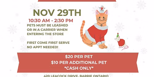 Pet Christmas Photos at Kat\u2019s Pets!