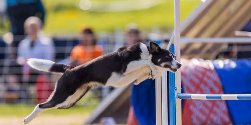 Fellestrening m\/instrukt\u00f8r i mai- FULLT