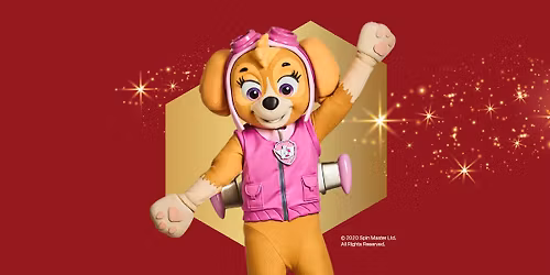 M\u00f8t Skye fra Paw Patrol