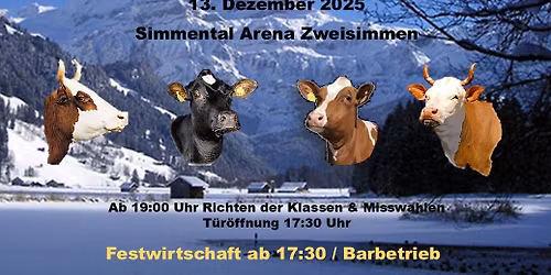 15. Obersimmentaler Night-Show