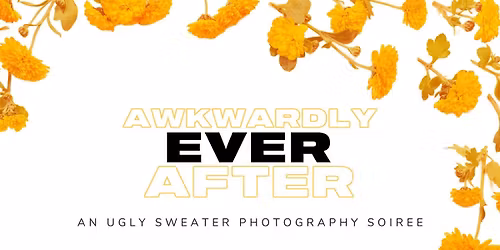 Awkwardly Ever After
