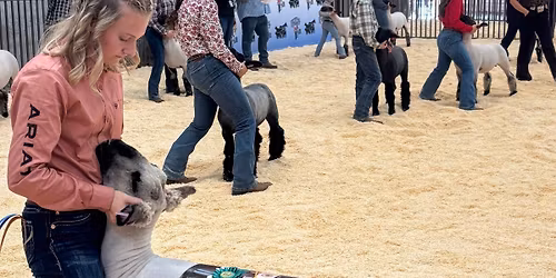 2026 Kittitas County Fair Market Sale