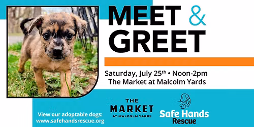 Safe Hands Rescue Meet & Greet at The Market at Malcolm Yards