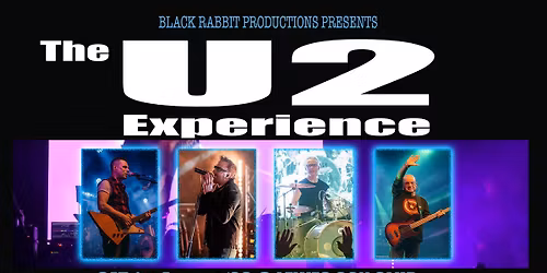 The U2 Experience