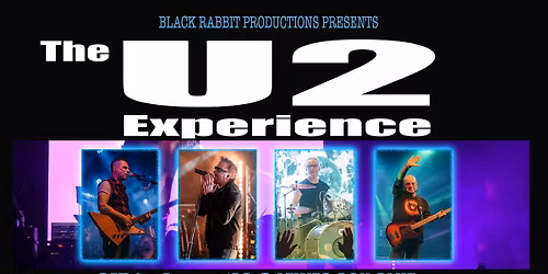 The U2 Experience