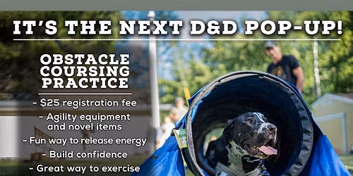 Obstacle Coursing Pop-Up