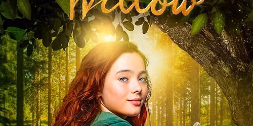 D\u00cdVKA JM\u00c9NEM WILLOW 