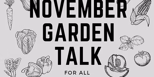 Cucumber Garden Talk