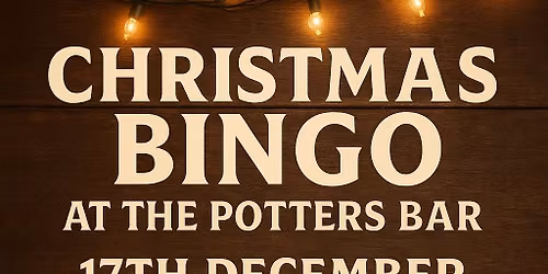 Potters Christmas Bingo \ud83c\udf84