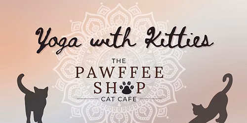 YOGA With Kitties!