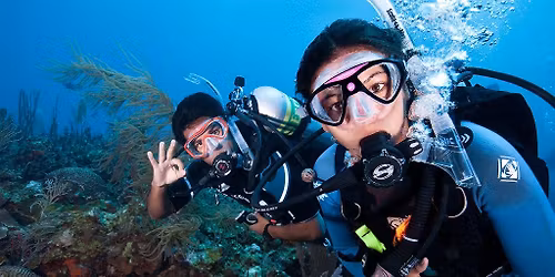 Beginner Scuba Class - Open Water Checkout Dives
