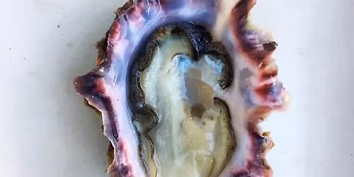 Shuck it, it's Wednesday!