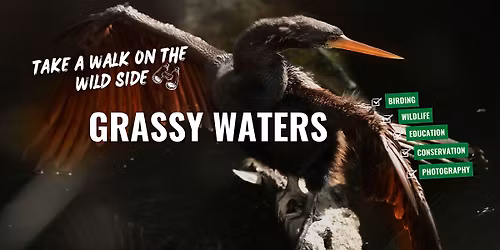 Grassy Water Preserve Restoration Hike