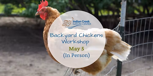 Backyard Chicken Workshop (In Person)