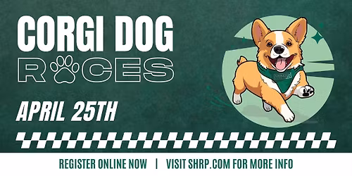 Corgi Dog Races