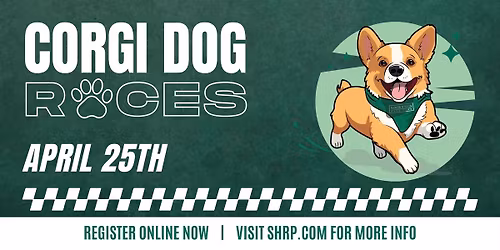 Corgi Dog Races 