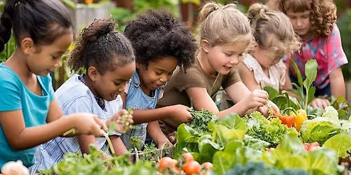 Kid's Planting Party