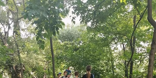 Gy\u00f3gyn\u00f6v\u00e9nyt\u00fara az \u00fajszegedi Marosn\u00e1l 05.09