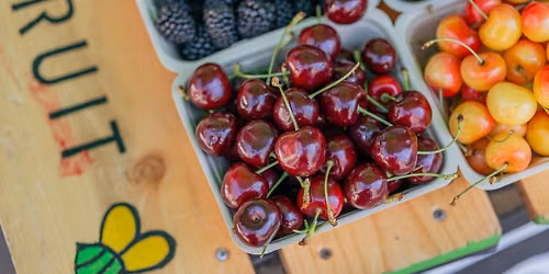 Graze Produce Pop-Up