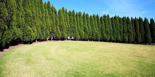 Tree Story Walk