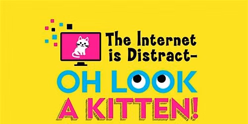 "The Internet is Distract- OH Look a Kitten!" Saturday Night Show
