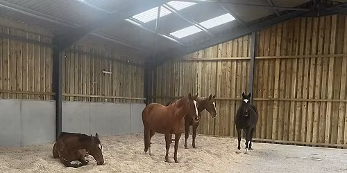 Simon Cocozza - Core Conditioning Clinic