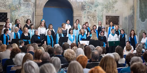 V\u00e1no\u010dn\u00ed koncert v Martinick\u00e9m pal\u00e1ci