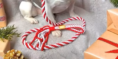Make your own festive dog lead 