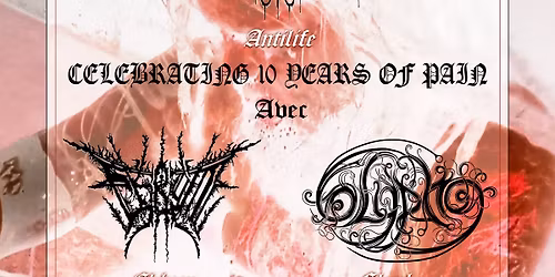 ANTILIFE + EKBOM + GLYPHE \/\/ COLD CRASH